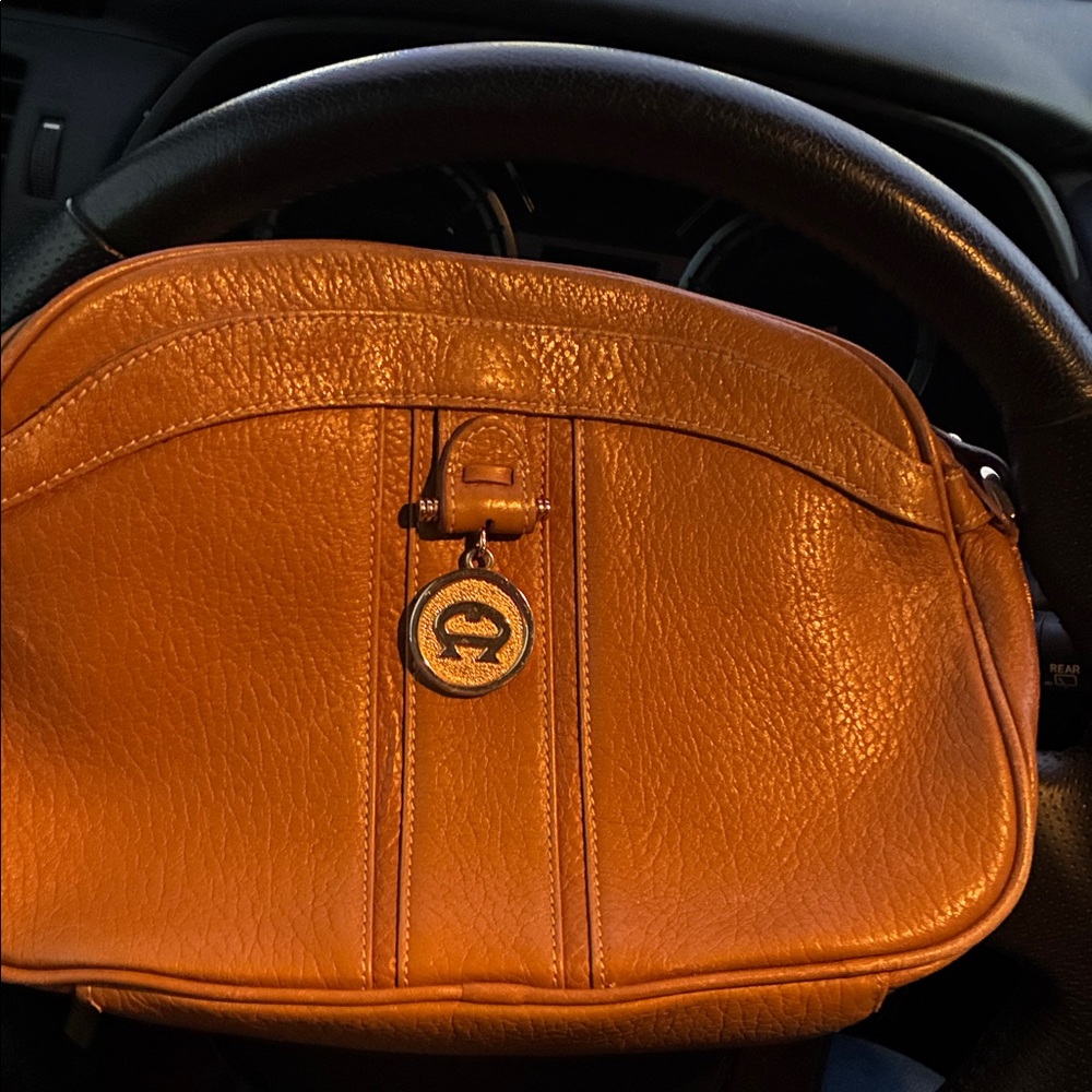 Etienne Aigner Brown Leather Men's Bag